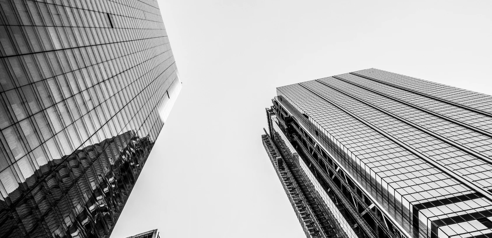 نُقدّم فرصاً للجميع