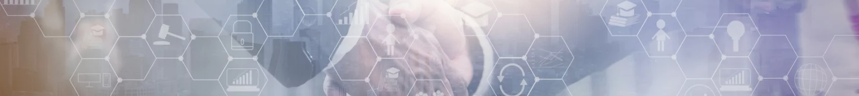 التسهيلات الائتمانية الممولة